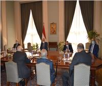 «شكري» يستقبل أعضاء المجلس المصري للشئون الخارجية