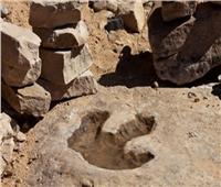 اكتشاف آثار أقدام ديناصورات عمرها 176 مليون سنة في الصين