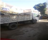 استمرار حملات النظافة وتمهيد طرق وشوارع قرى أسيوط