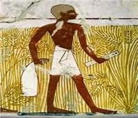 الفلاح «خو انبو» وحكايات التنمر في مصر القديمة