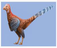 من العصر الطباشيري.. العثور على «الديناصور الدجاجة»