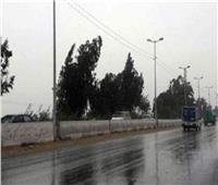 سقوط أمطار خفيفة على أغلب قري ومدن «المنيا»