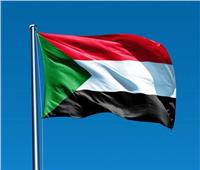 انتخاب السودان نائبًا لرئيس مجلس حقوق الإنسان بالأمم المتحدة