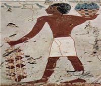 «فاكهة الحب» لدى المصريين القدماء.. 15 فائدة للرمان