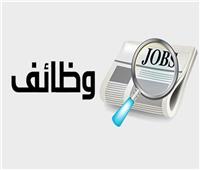 وظائف للطلبة والخريجين بـ 250 جنيهًا يوميًا في 15 محافظة