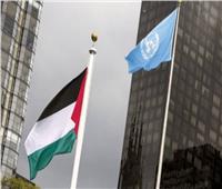 للمرة الثانية.. انتخاب فلسطين عضوا بالمكتب التنفيذي لـ«الجنائية الدولية»