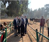 وزير الزراعة يتفقد محطة الزهراء للخيول لمتابعة تطويرها