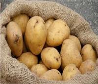 «الزراعة»: زيادة المساحات المزروعة وراء تراجع أسعار البطاطس