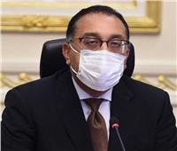 أبرزها «المرتبات وعودة أنفلونزا الطيور».. الحكومة ترصد 6 شائعات جديدة في أسبوع 