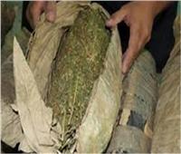 ضبط عاطل بحوزته ٦ آلاف كيلو من مخدرالبانجو بالقاهرة 