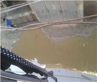 صحافة المواطن| مياه الصرف الصحي تعيق المارة في قرية أوليلة بالدقهلية