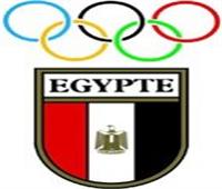 «الأوليمبية المصرية» تعلن قرار هام بسبب «كورونا»