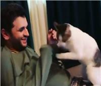 مصطفي خاطر.. يتحدي القطة «المفترسة» | فيديو