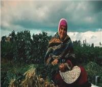 «أم كريم».. قصة كفاح سيدة ريفية وثقتها الكاميرا