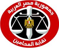 أسماء المرشحين لانتخابات نقابة المحامين بمحافظة المنوفية