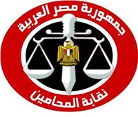 9 مرشحين علي مقعد النقيب في انتخابات مجلس نقابة محامين المنيا