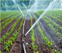 «الزراعة»: تحديث نظم الري في مصلحة الدولة والفلاح