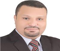 أحمد القناوي يكتب: برلمان 2020.. ومصر المستقبل
