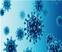 بالفيديو| أبرز جهود الدولة في مواجهة وباء فيروس كورونا