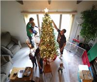 رأس السنة «المنزلي».. أكلات وصور بجوار شجرة الكريسماس فقط