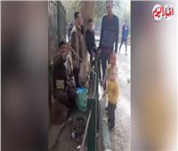 فيديو| احتفالات عيد الميلاد.. حديقة الحيوان فسحة مميزة للأسرة المصرية