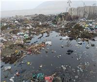 وسط استغاثة الأهالي| «أكوام القمامة» تحاصر قرية البرشا في المنيا 