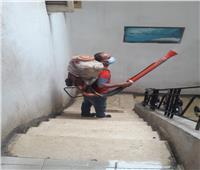 محافظ الغربية يتابع أعمال النظافة بحي ثان طنطا