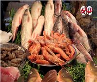 فيديو | أسعار خيرات البحر من سوق السمك الشعبي في إمبابة