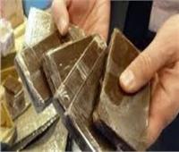24 لفافة   بانجو تقود صاحبها خلف الأسوار 3 سنوات