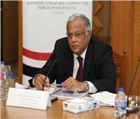 مساعد وزير الخارجية لحقوق الإنسان: مصر لديها مؤسسات وطنية راسخة 