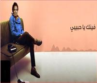 محمد منير يطرح «فينك يا حبيبي» ثاني أغاني ألبومه الجديد