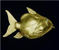 قصة صورة | السمكة الذهبية المصرية الذي عثر عليها العالم