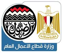 وزارة قطاع الأعمال توضح جهود تطوير نادي غزل المحلة