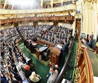 تكريم الموتى وخفض الجمارك.. ماذا يريد المصريون بالخارج من برلمان 2021؟