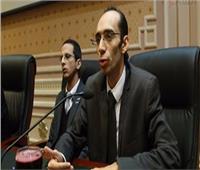 عبد العزيز يكشف خطة عمل لجنة حقوق الإنسان بـ«البرلمان»
