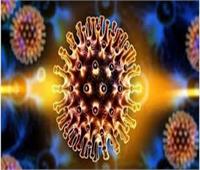 أستاذ فيروسات: «كورونا» يشهد طفرات متعددة جعلته أشد انتشارًا