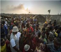 عدد اللاجئين من إفريقيا الوسطى يبلغ 60 ألفاً 