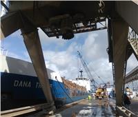 ميناء الإسكندرية ينهي أزمة شحنة الأخشاب الملوثة إشعاعيا