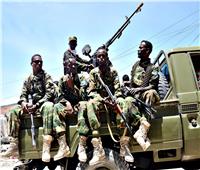 الجيش الصومالي يعتقل عناصر من ميليشيا الشباب المتمردة