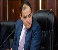 رئيس اقتصادية النواب لـ«الحكومة»: «زيارة المجلس أو لجانه ليس للنزهة‎»