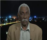 محلل: هناك انقسام حاد داخل المجتمعات في دارفور سببه نظام الإخوان