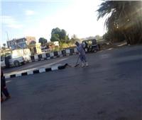 استكمال أعمال النظافة والتجميل بمدينة كلابشة