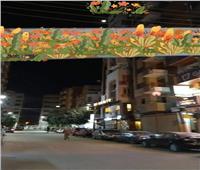 حملة لرفع عشرات الإعلانات المخالفة بأحياء مدينة المنيا| صور