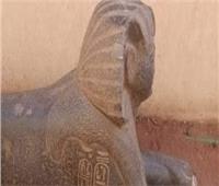 حوادث الإسماعيلية في أسبوع| إحباط محاولة بيع تمثال أثري يزن طن و700 كيلو