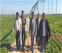 «الزراعة»: جولة ميدانية لمتابعة المحاصيل الشتوية بالإسكندرية والبحيرة