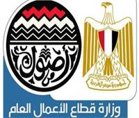«قطاع الأعمال»: 13 مليار جنيه لتطوير «مصر للألومنيوم» 