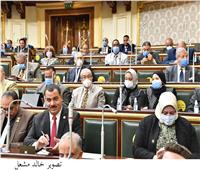 برلمانية لوزير الزراعة: لا توجد سياسة زراعية في مصر 