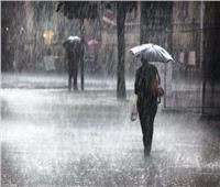 أمطار وشبورة.. «الأرصاد» تكشف تفاصيل حالة الطقس لمدة 5 أيام
