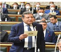 برلماني: أرفض تدخل الكونجرس في شأننا الداخلي وما يحدث محاولة للضغط على مصر