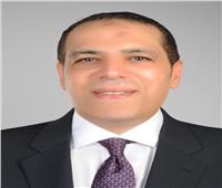 برلماني: حقوق الإنسان في مصر ممتازة.. وانتقادات «الكونجرس» كاذبة‎